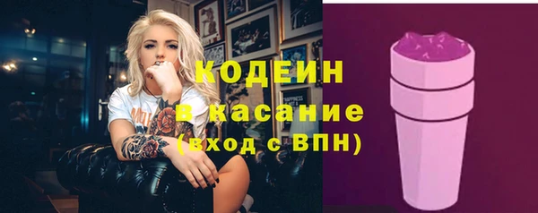 хмурый Алзамай