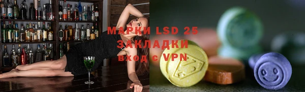 хмурый Алзамай