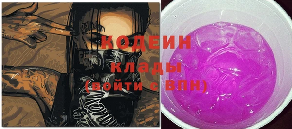 хмурый Алзамай