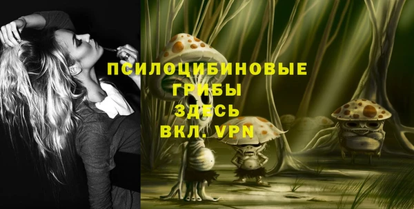 хмурый Алзамай